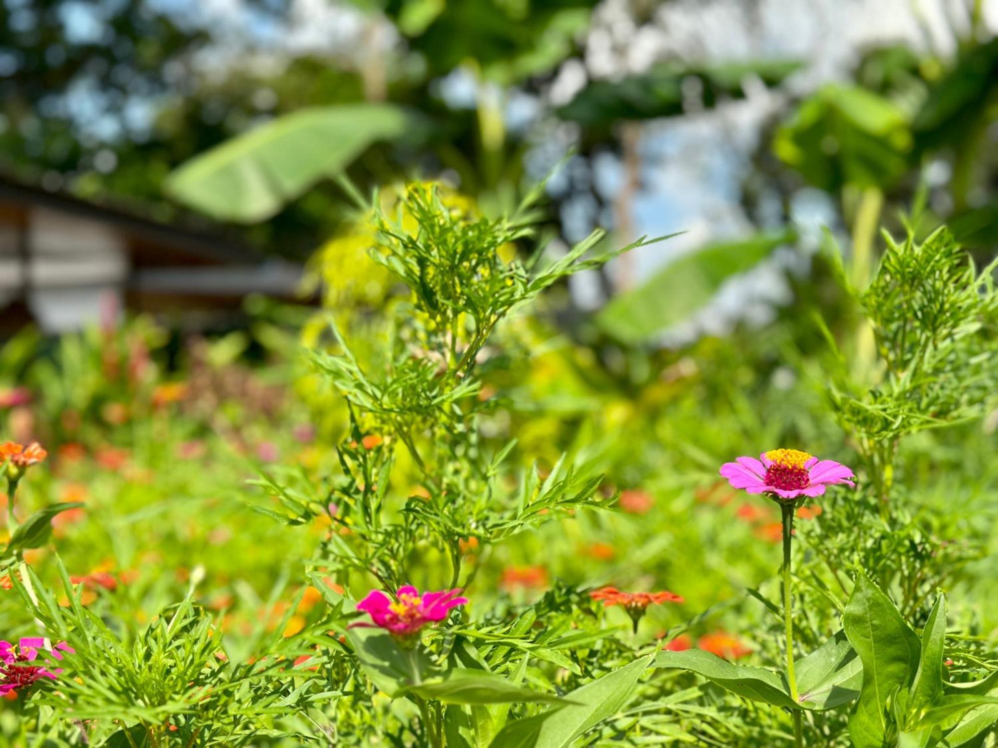 Almendros Eco-Villas La Fortuna Dış mekan fotoğraf